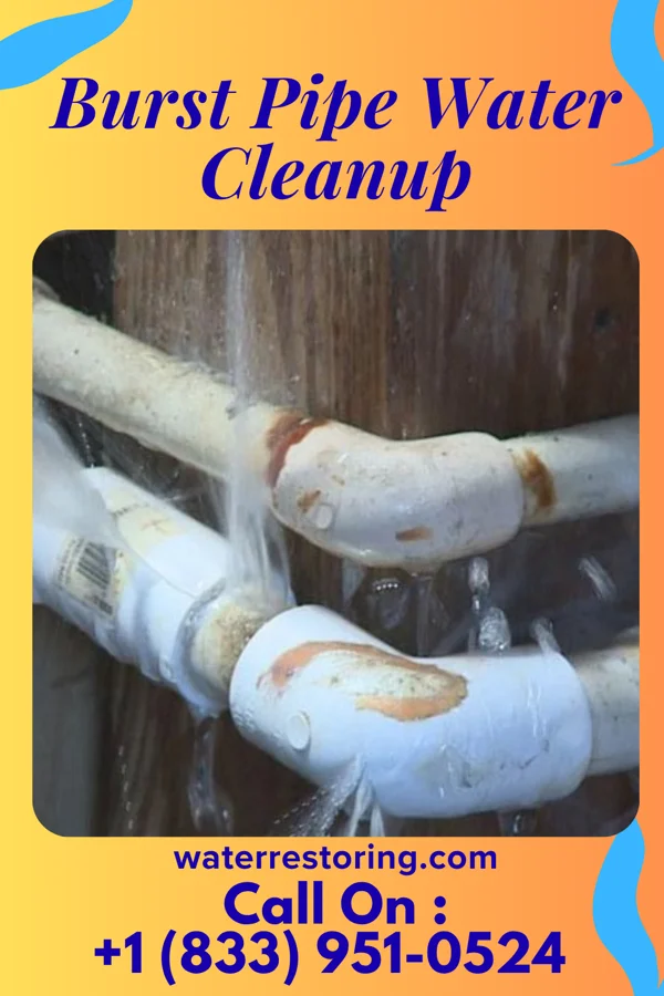 Burst Pipe Water Cleanup in Blue Jay, OH