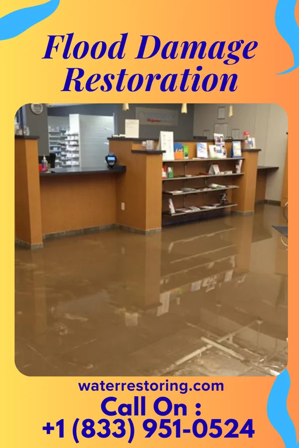 Flood Damage Restoration in Blue Jay, OH