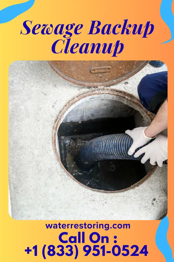 Sewage Backup Cleanup in Blue Jay, OH