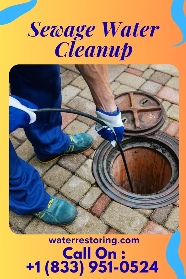 Sewage Water Cleanup in Blue Jay, OH