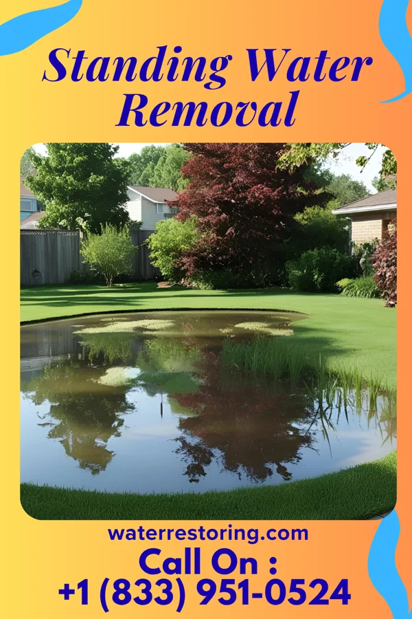 Standing Water Removal in Blue Jay, OH